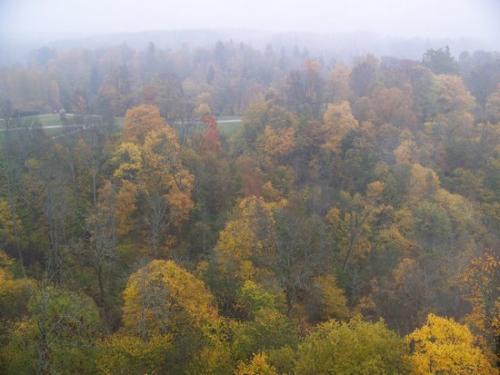Lettischer Nebel (100_0418.JPG) wird geladen. Eindrucksvolle Fotos aus Lettland erwarten Sie.